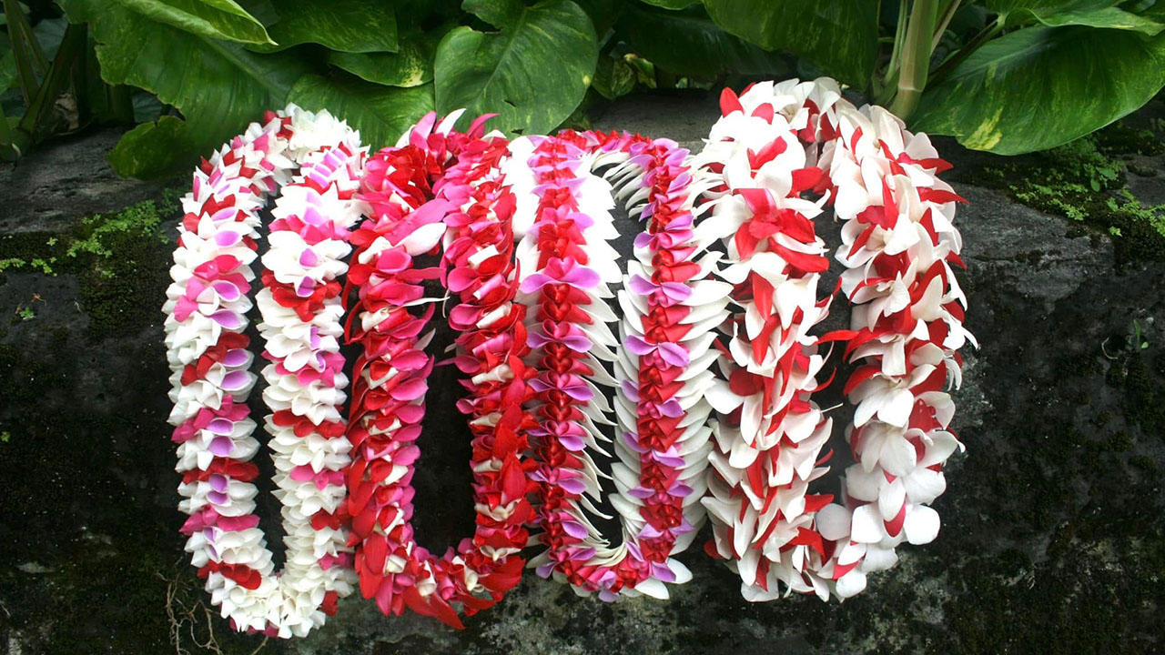 Celebrating Life's Moments with Leis