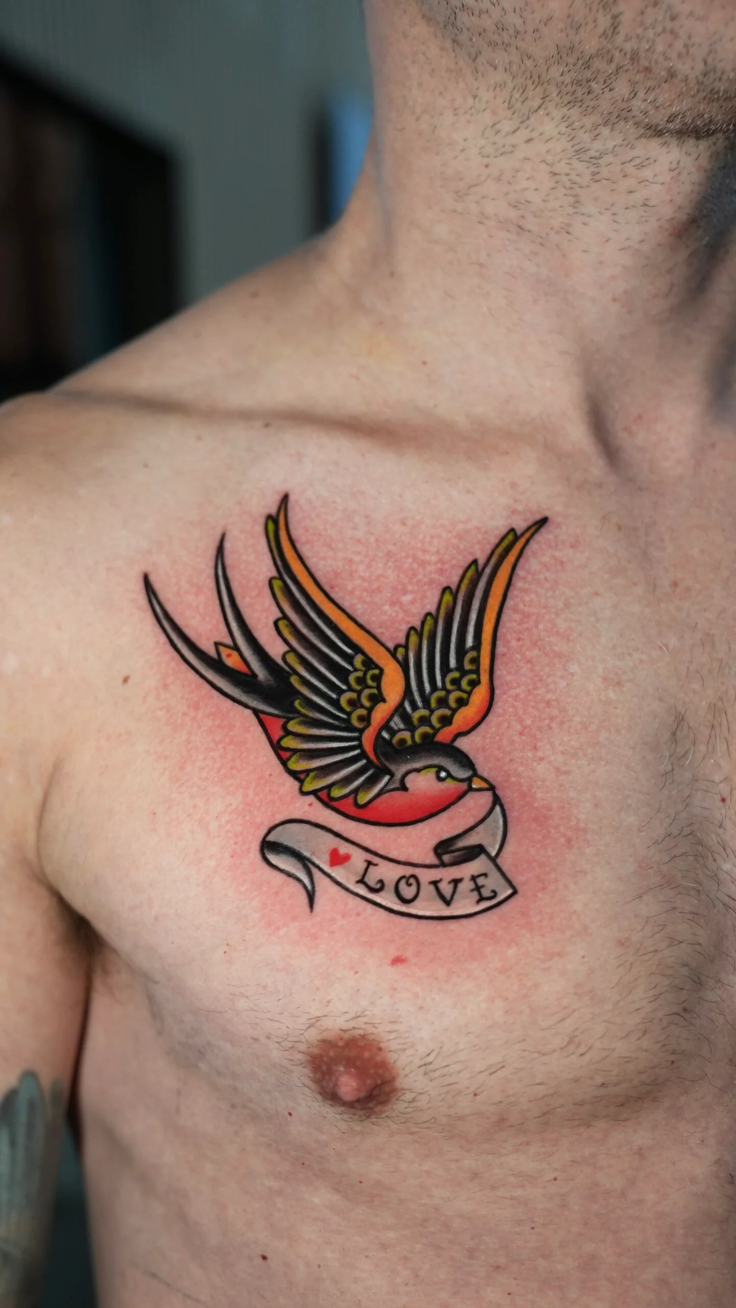 Vibrant American Traditional tattoo of a flying swallow on a man's upper chest. The bird features bold black outlines with bright red, yellow, and green feathers, clutching a banner below it that reads "LOVE" alongside a small red heart.
