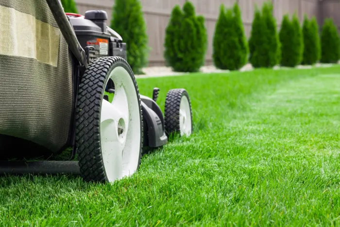 lawn service