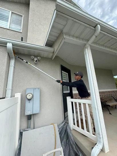 Pest Control in West Jordan