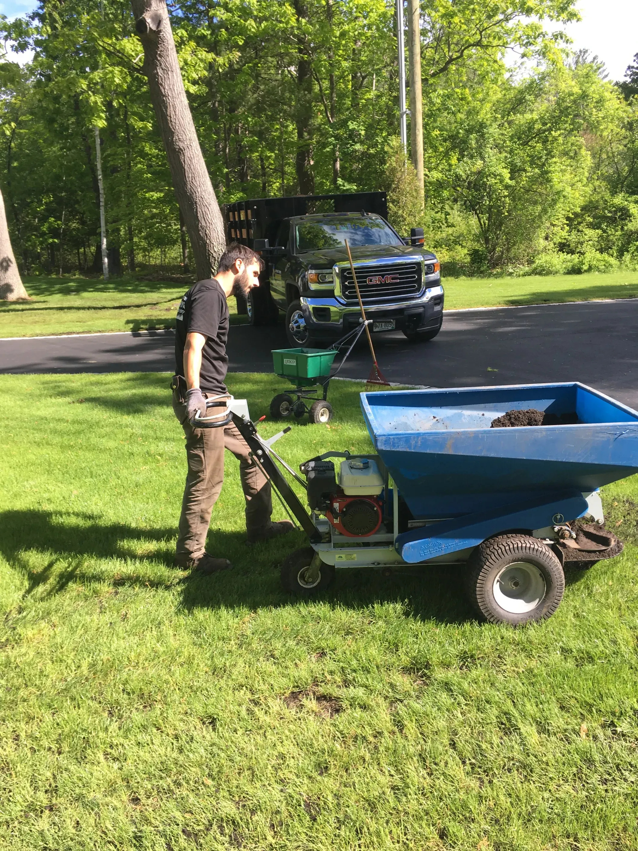 Professional Lawn Fertilization