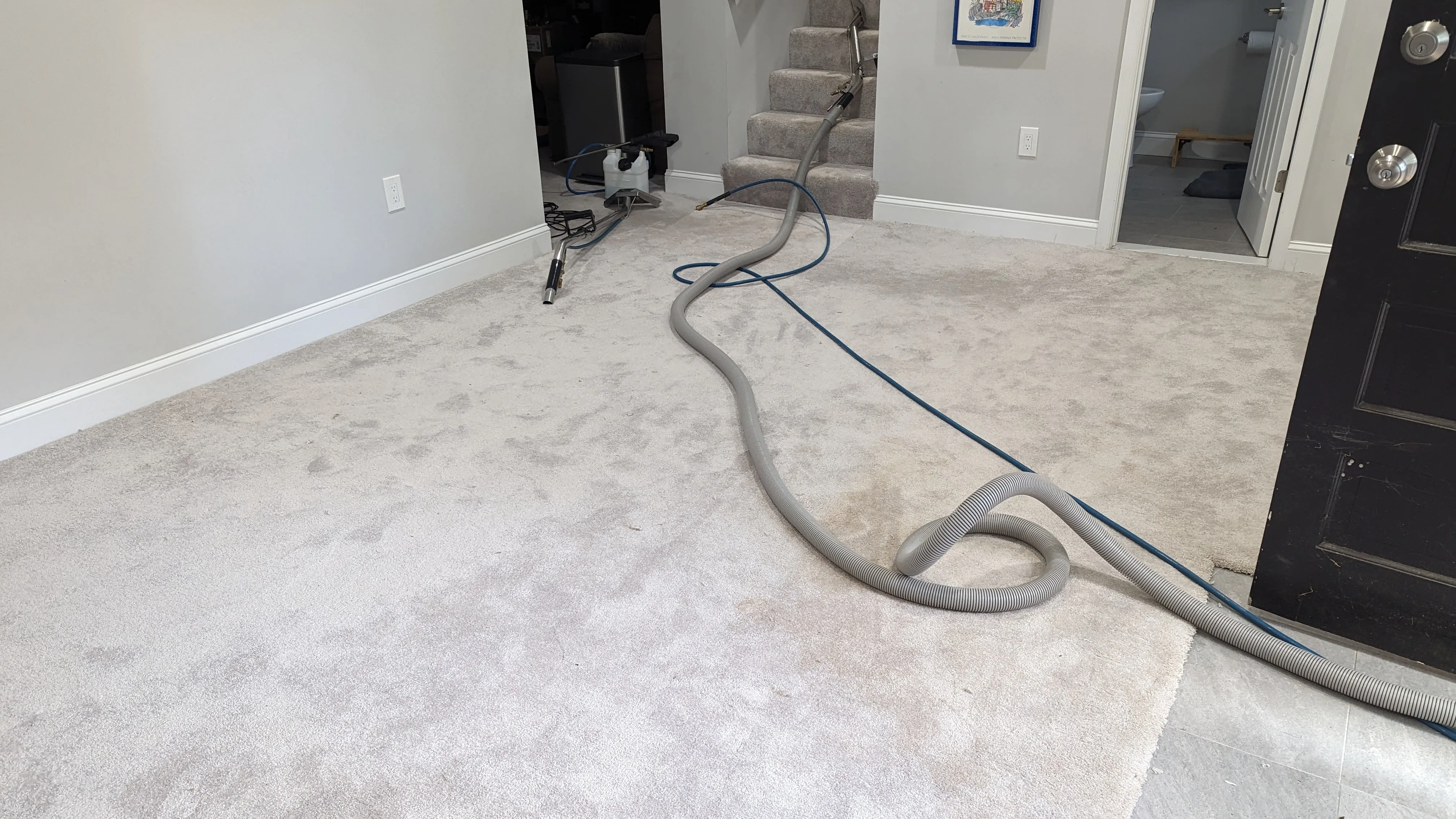 Elimination of Stains and Restoration