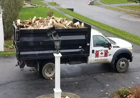 Emergency Storm Response and Lot Clearing