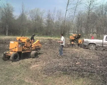 Operator using a stump grinder