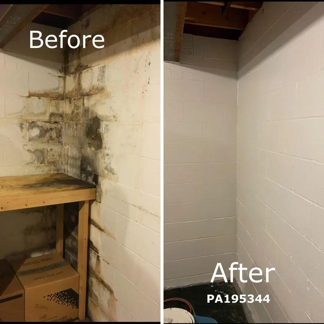 Our Comprehensive Mold Eradication Methodology