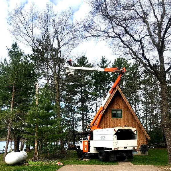 Commitment to Environmental Stewardship