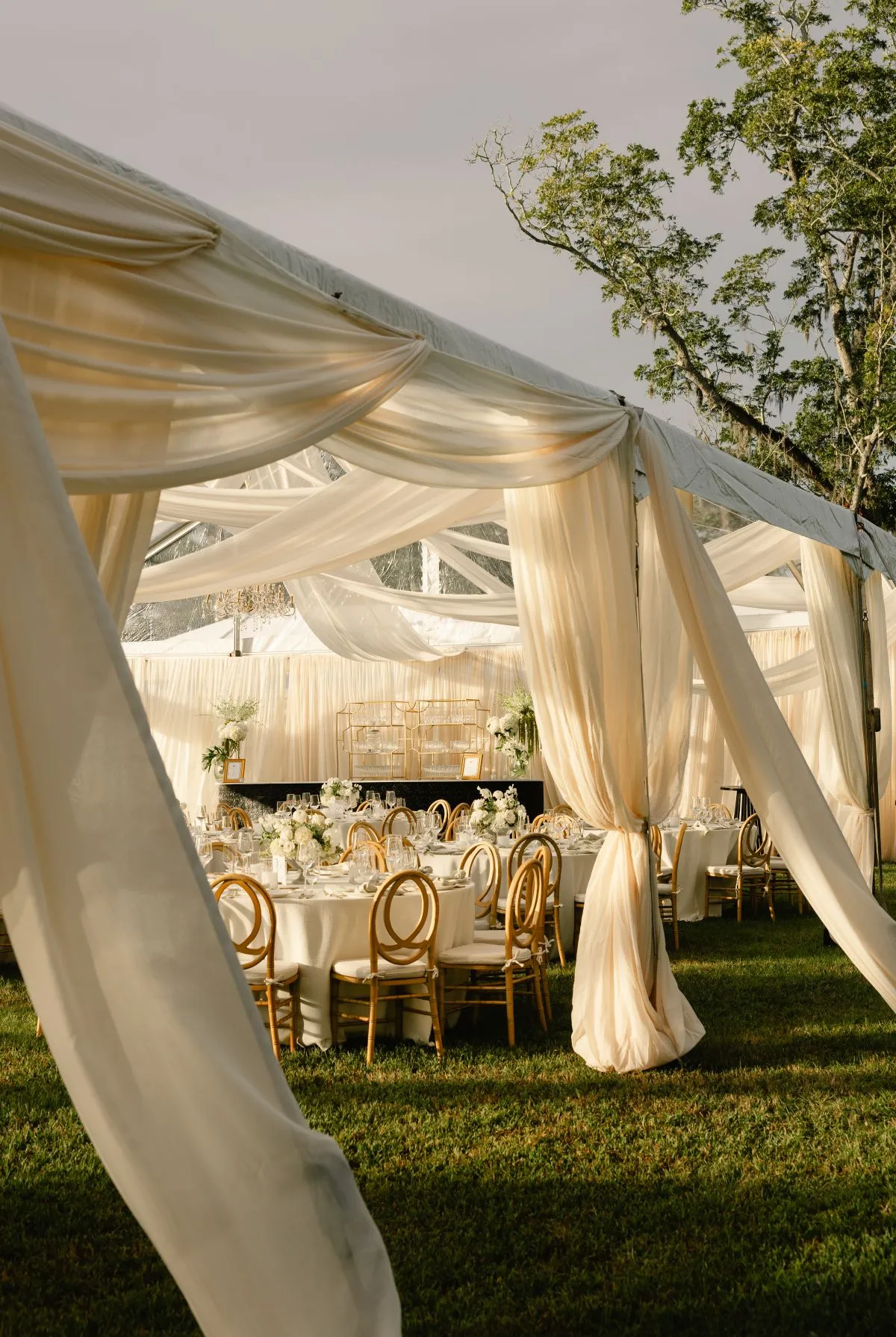 Discover Premier Wedding Rentals in Charleston