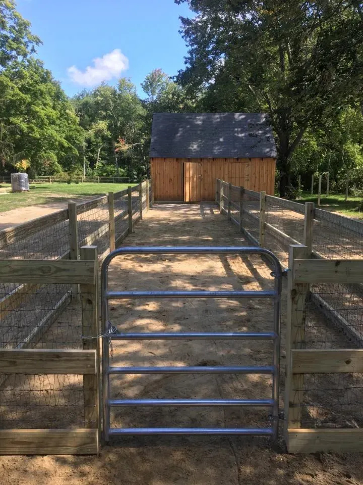Fencing Repair Services