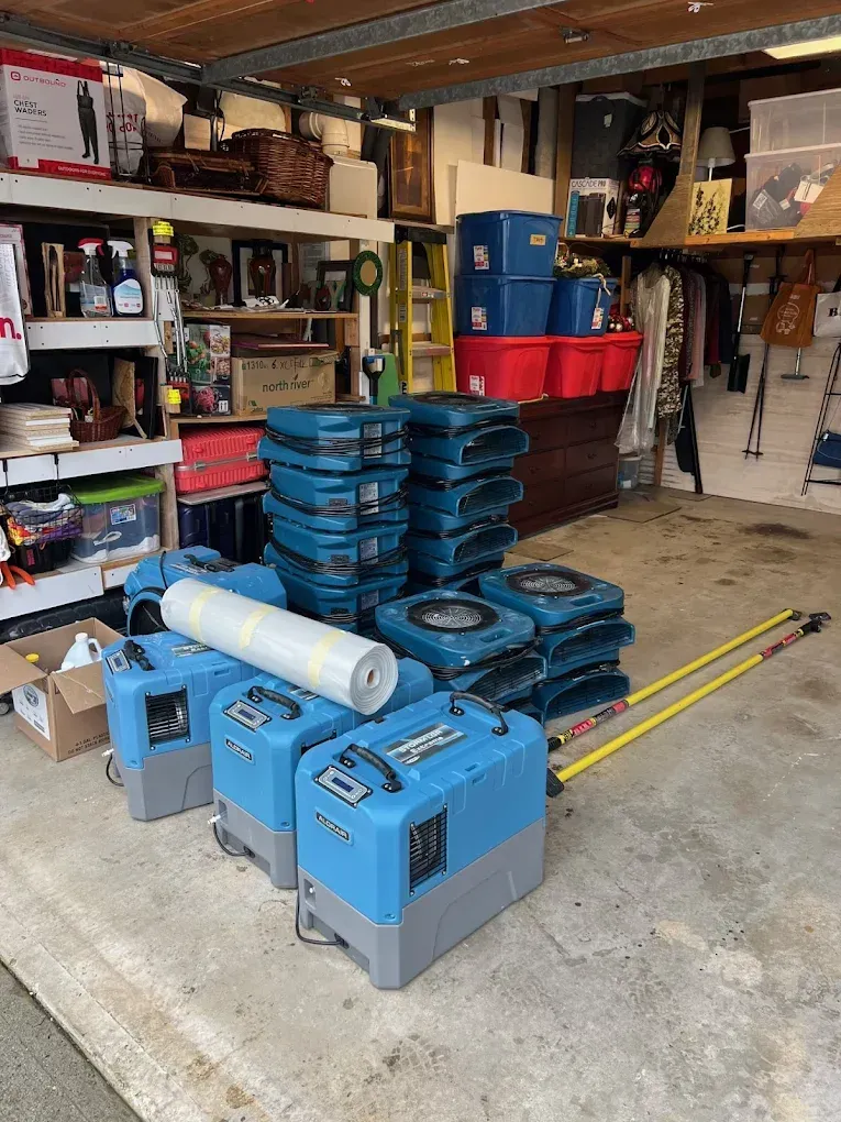 What Happens When Flood Cleanup Is Delayed