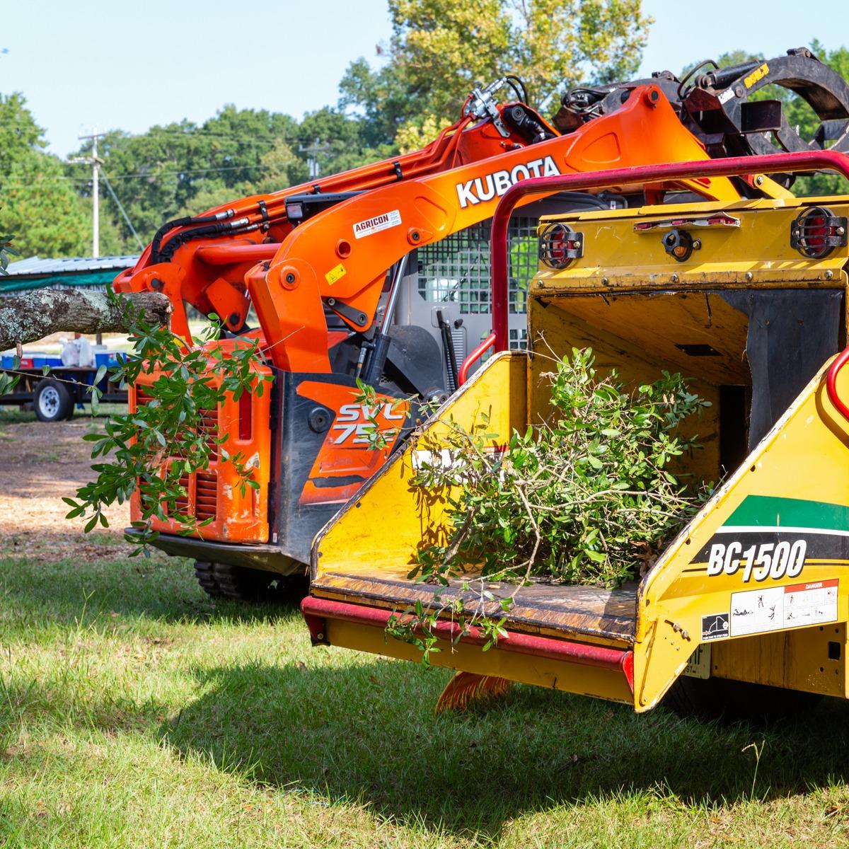 Professional stump grinding machine removing a tree stump in a residential yard in Gainesville Professional stump grinding machine removing a tree stump in a residential yard in Gainesville