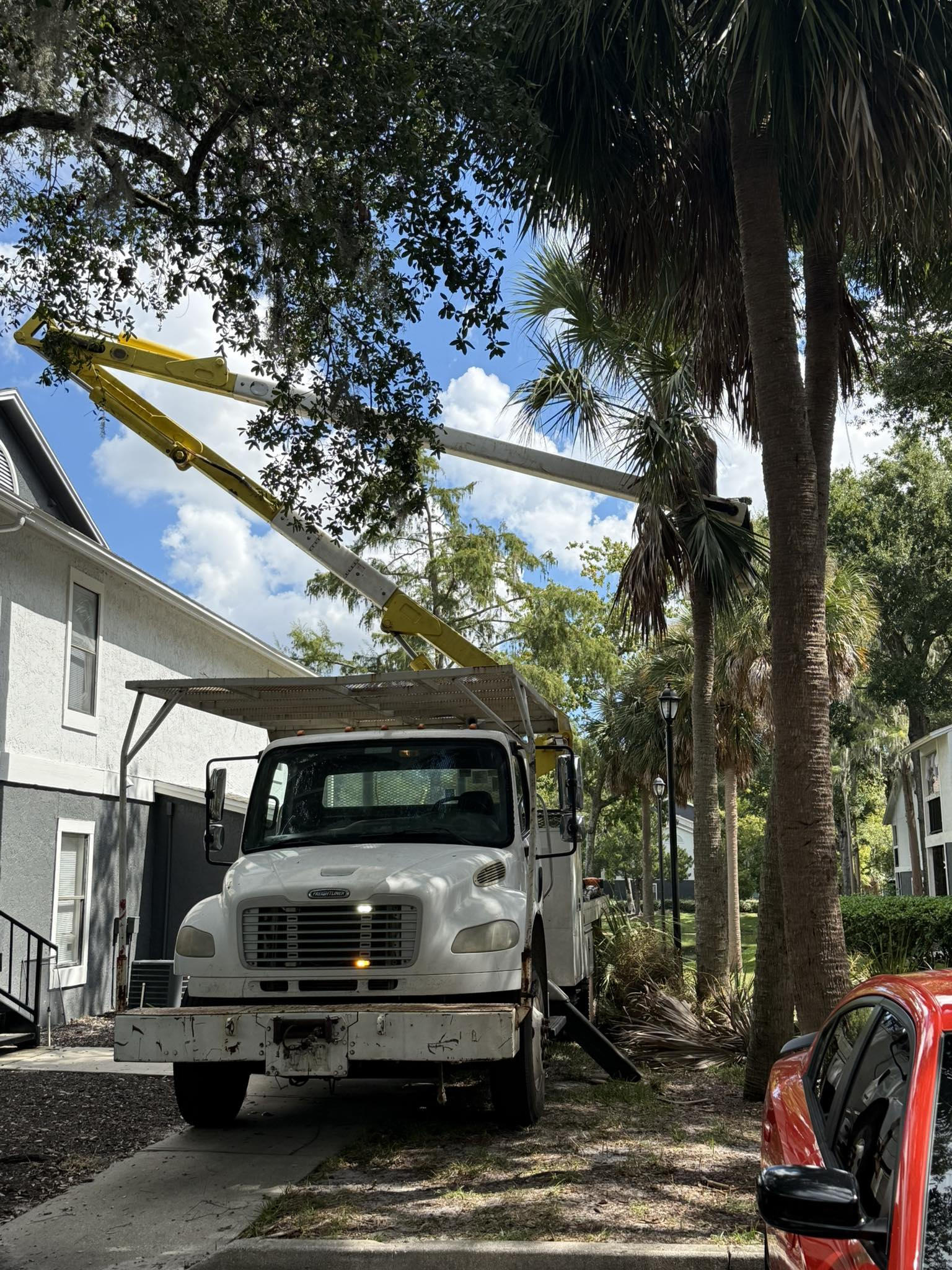 Precision Pruning and Tree Trimming Services