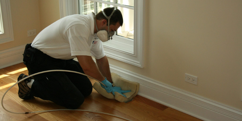 Eliminating Stale Odors for a Genuinely Fresh Home