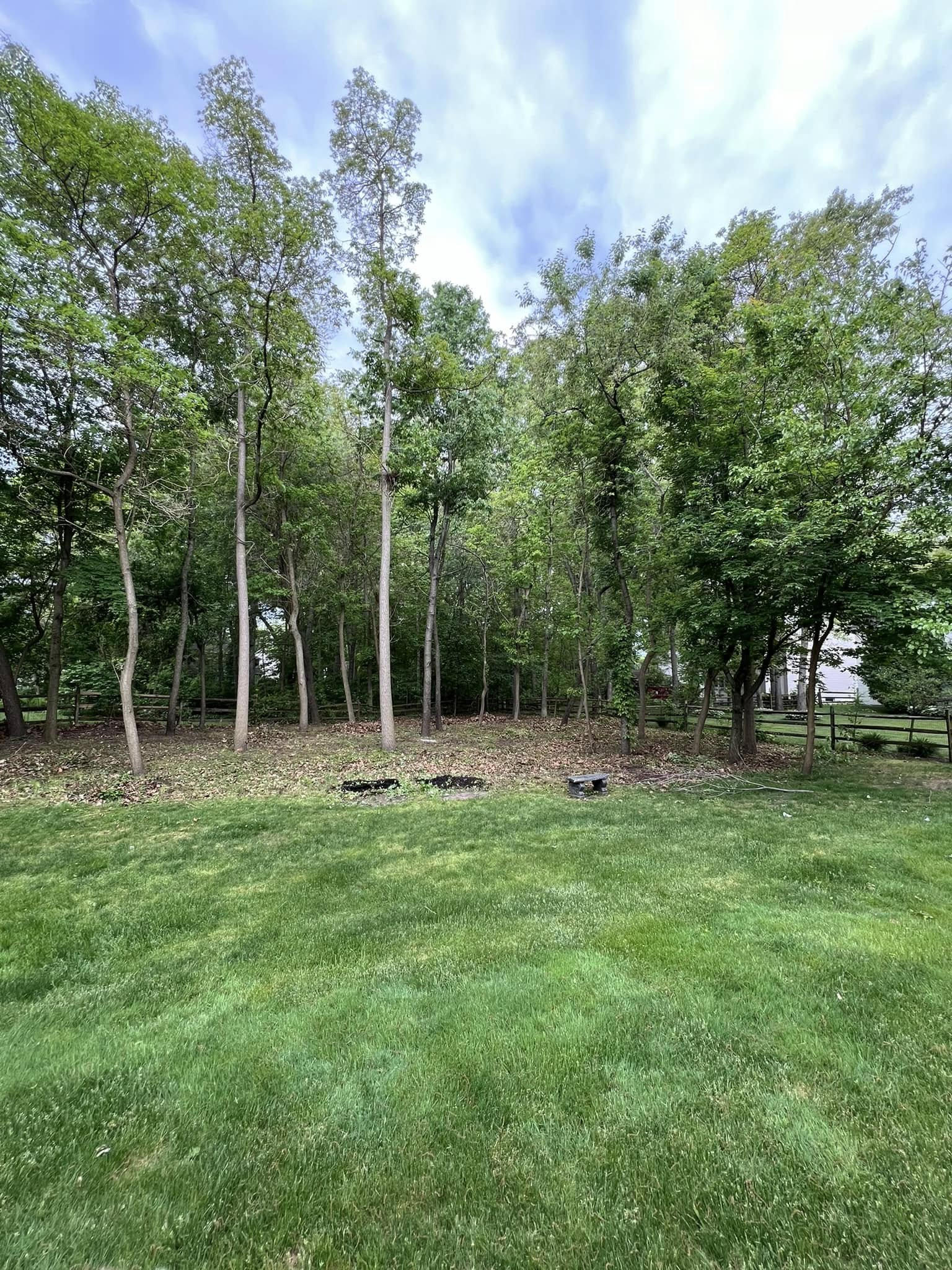 Accurate Lawn Grading to Redirect Water and Smooth Your Yard