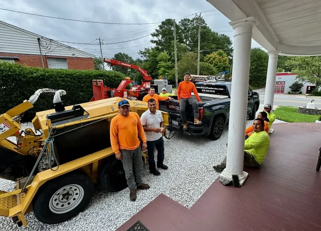 Tree Removal Services