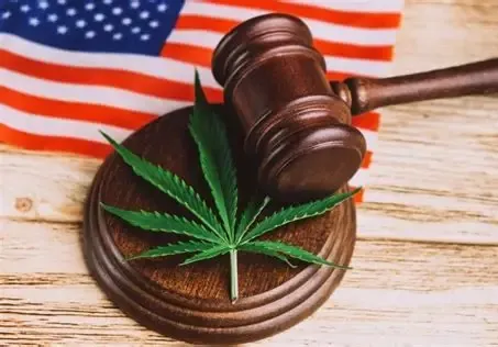 Gavel and cannabis leaf on American flag emphasizing legal implications of workplace drug testing