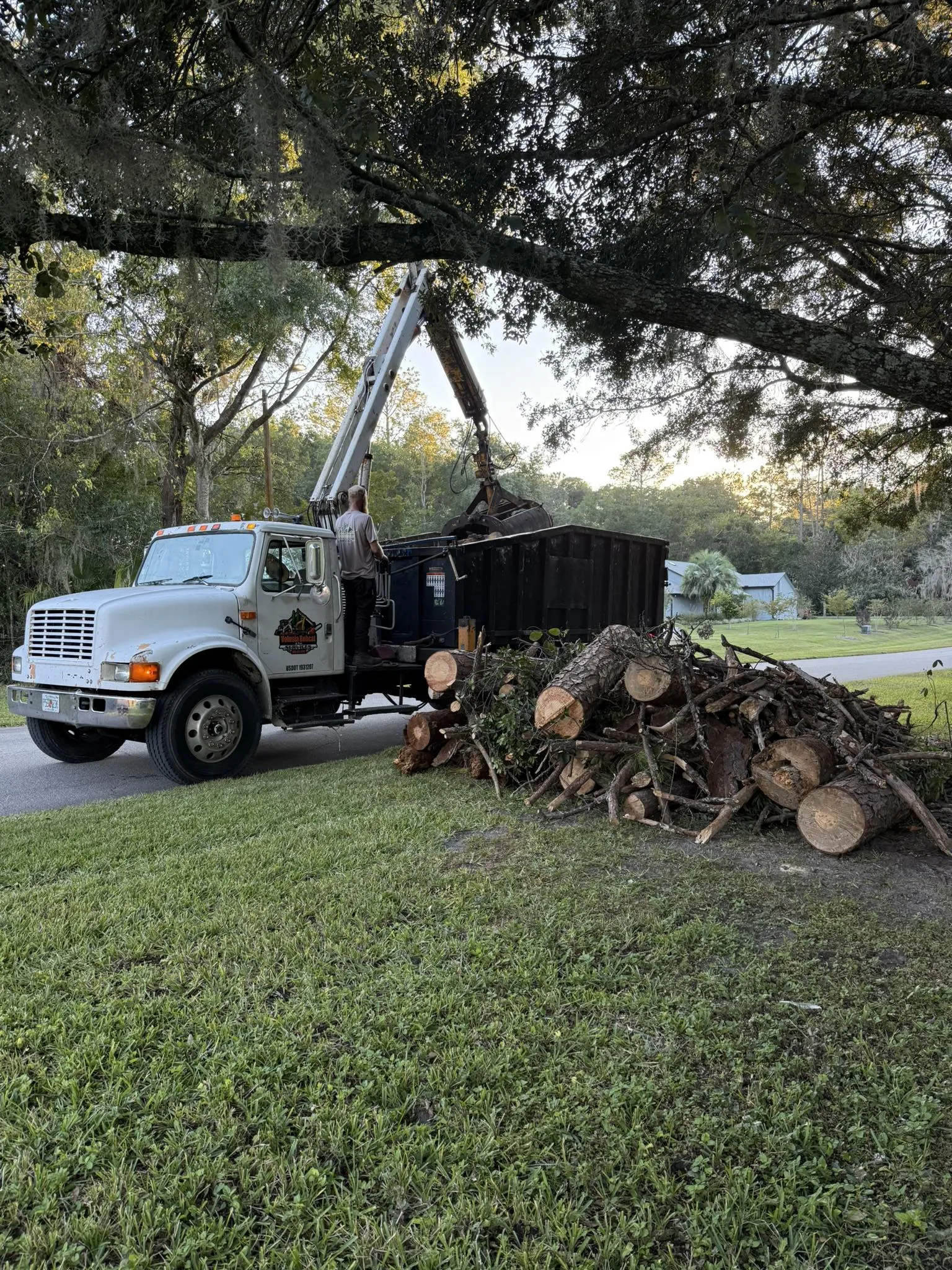 Swift Emergency Tree Removal for Storm Impacts