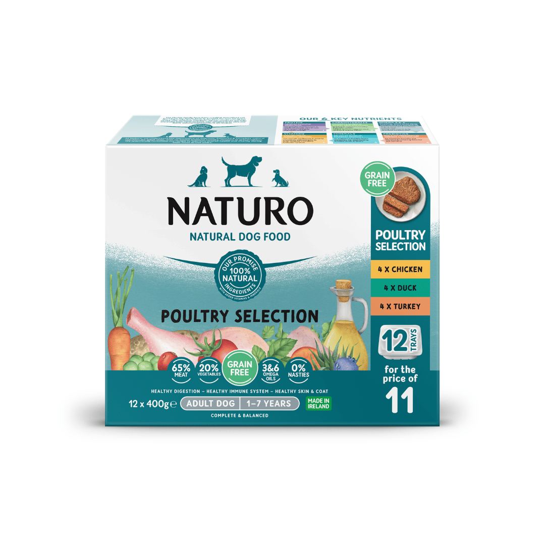 Grain-Free Dog Food for Sensitive Stomachs and Better Digestion