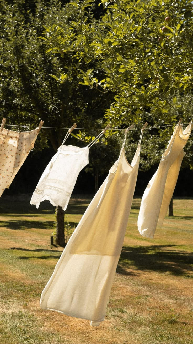 Ditch Plastic: Choose Easey Earth Plant Based Detergent Sheets Today