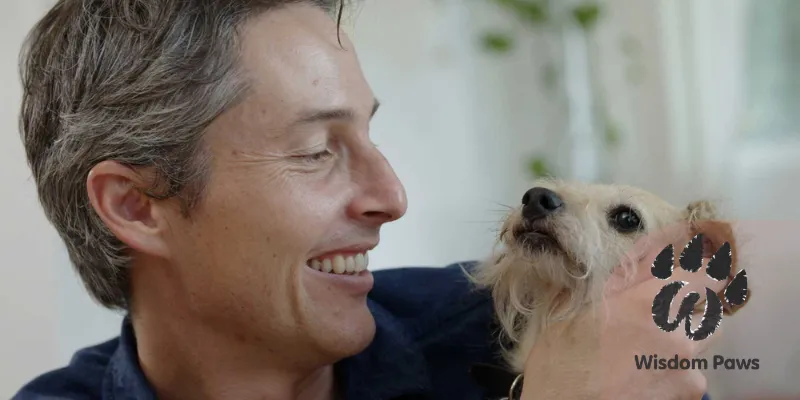 How CBD Enhances Your Pet's Quality of Life