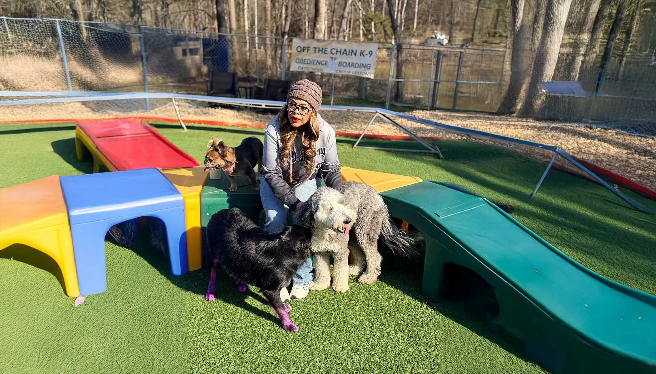 Puppies participating in group activities, enhancing their early social skills and interactions