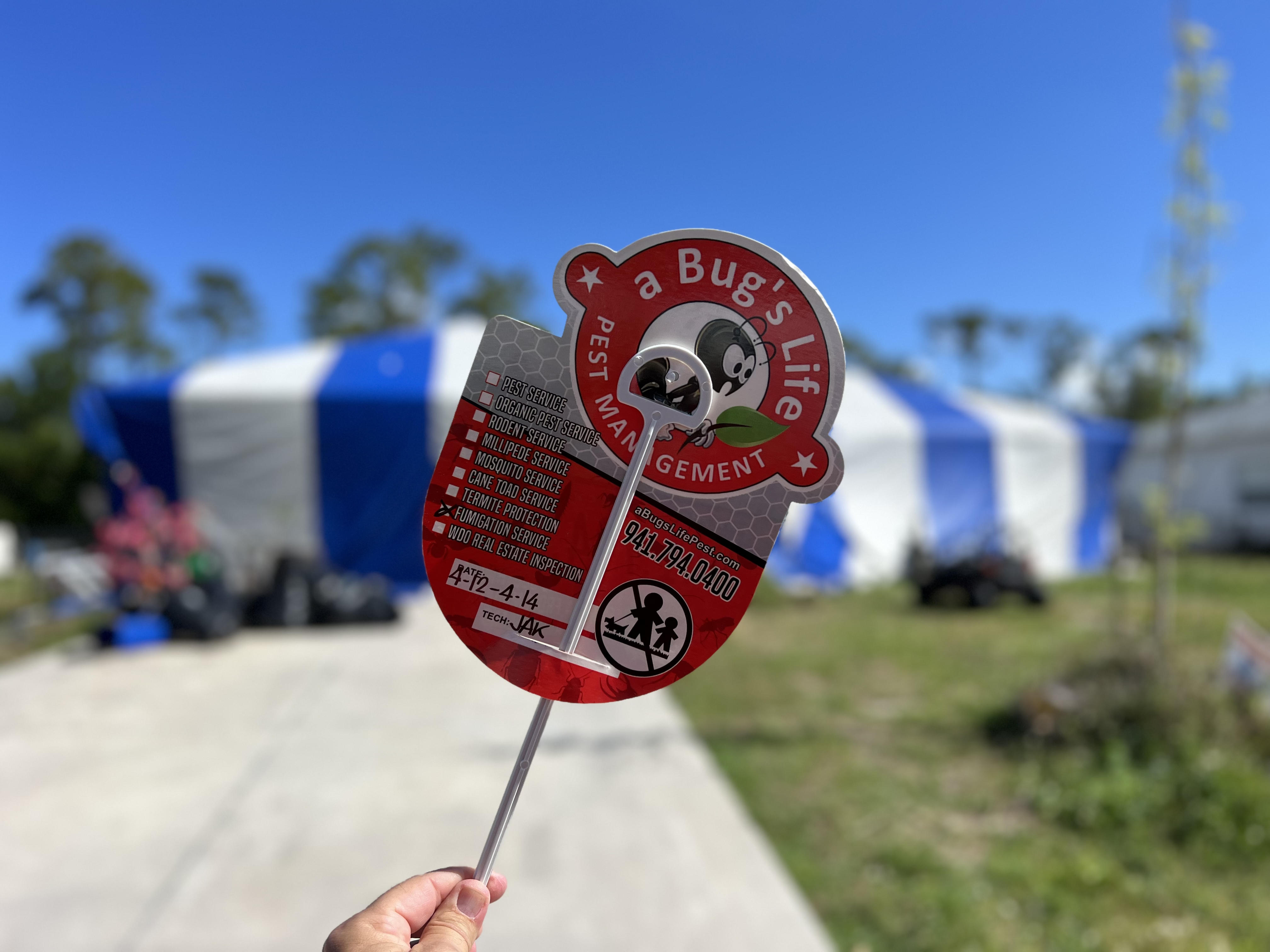 Effective Termite Control Solutions
