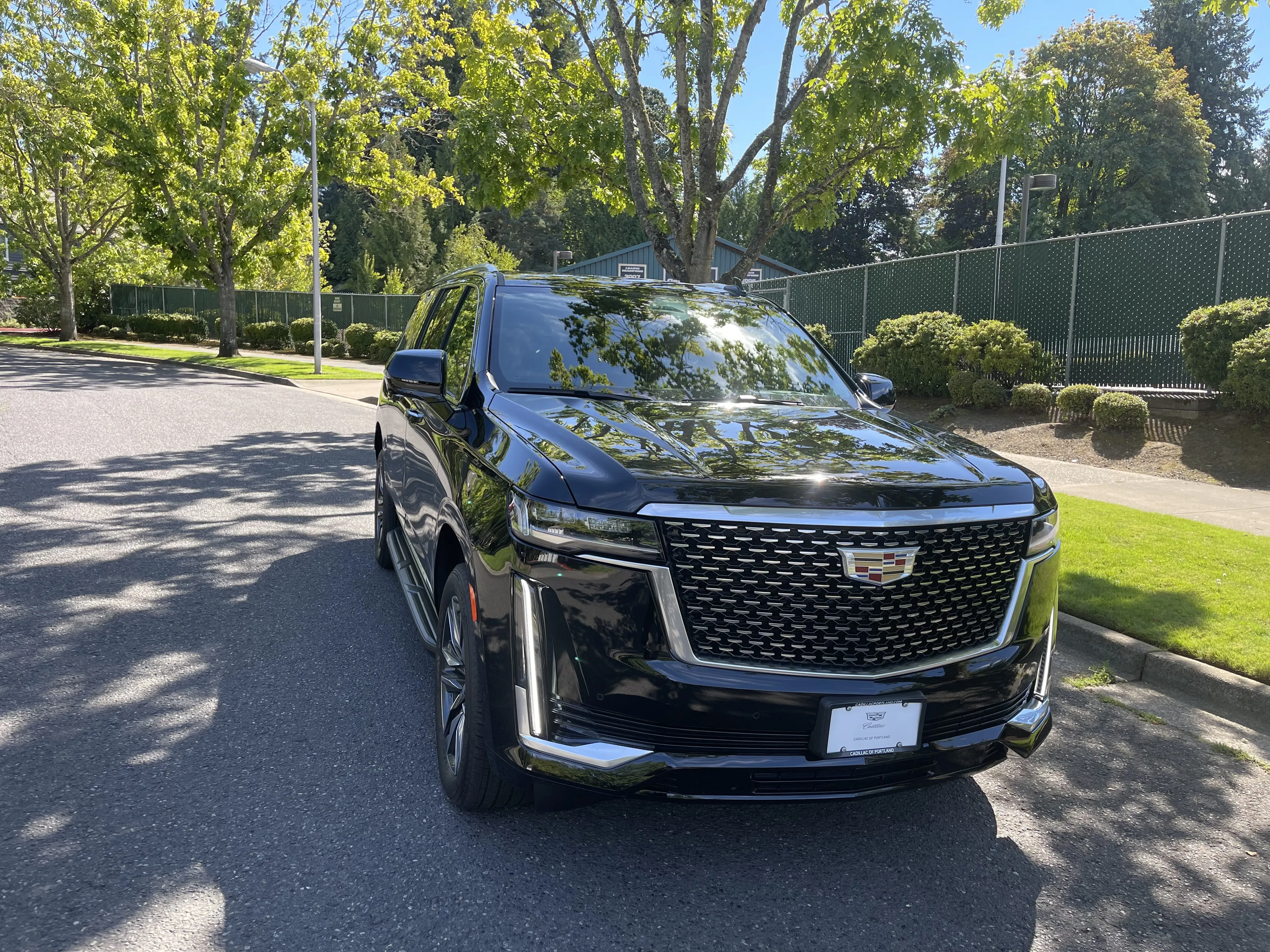 Professional Chauffeur Services Anytime, Anywhere