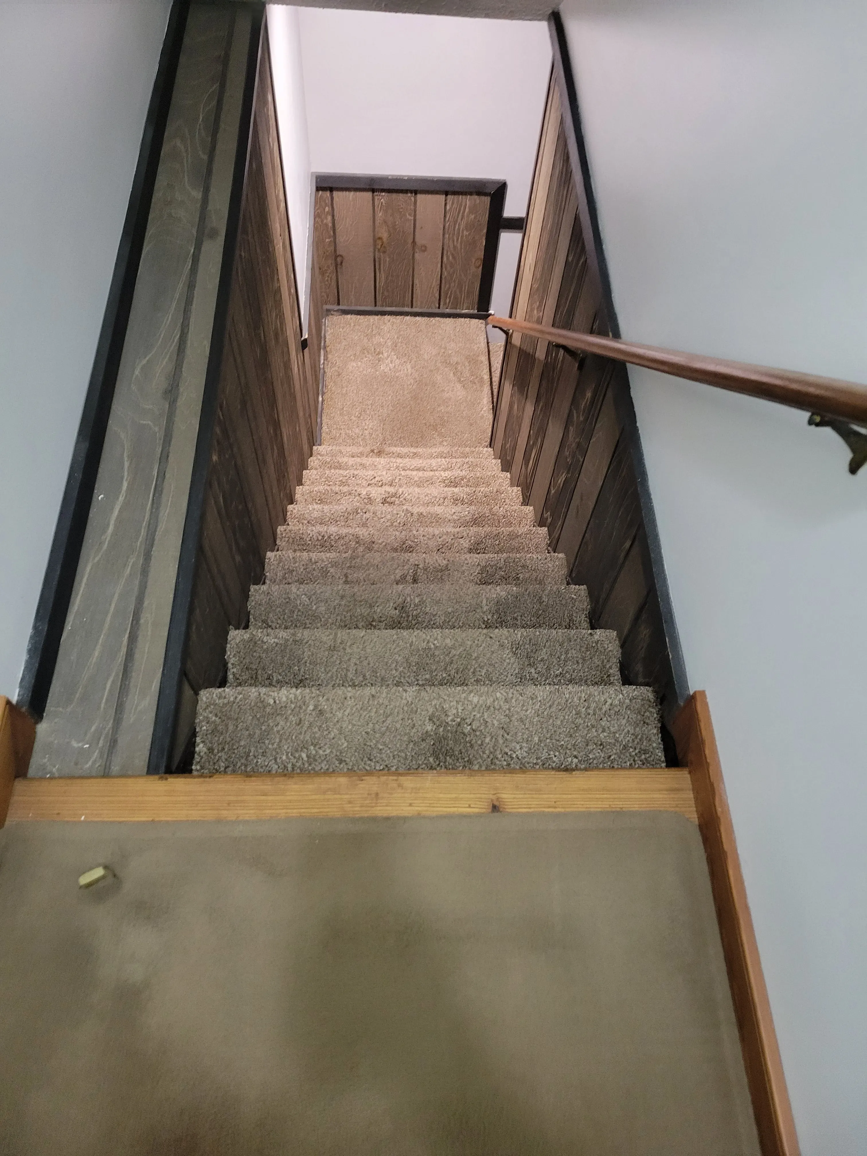 Thorough Water Damage Restoration Services