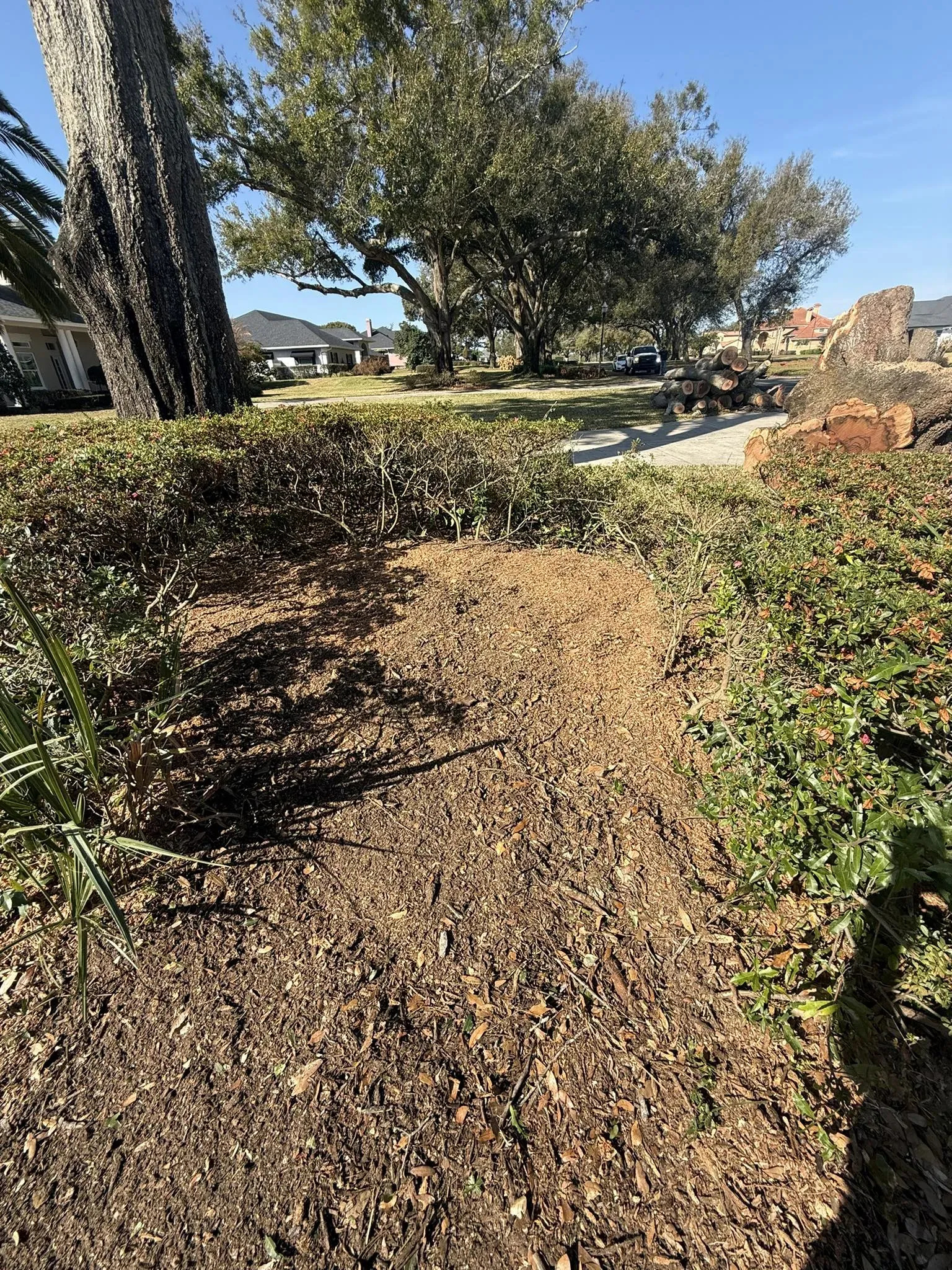 Stump Grinding and Land Clearing Services