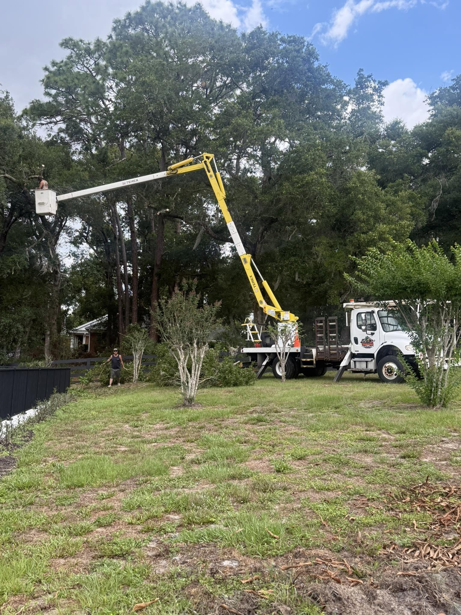 Stump Grinding and Land Clearing Options