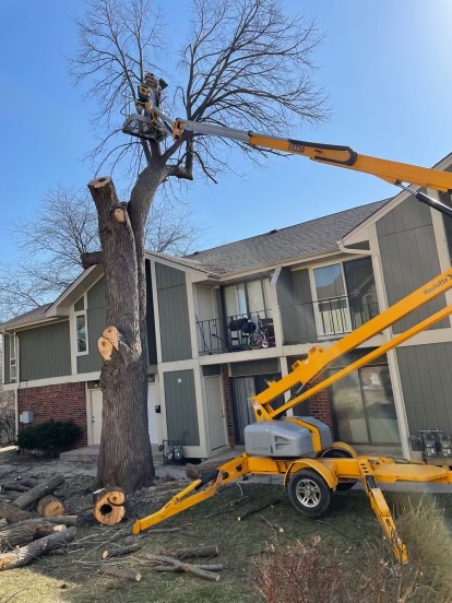 Complete Storm Cleanup Solutions