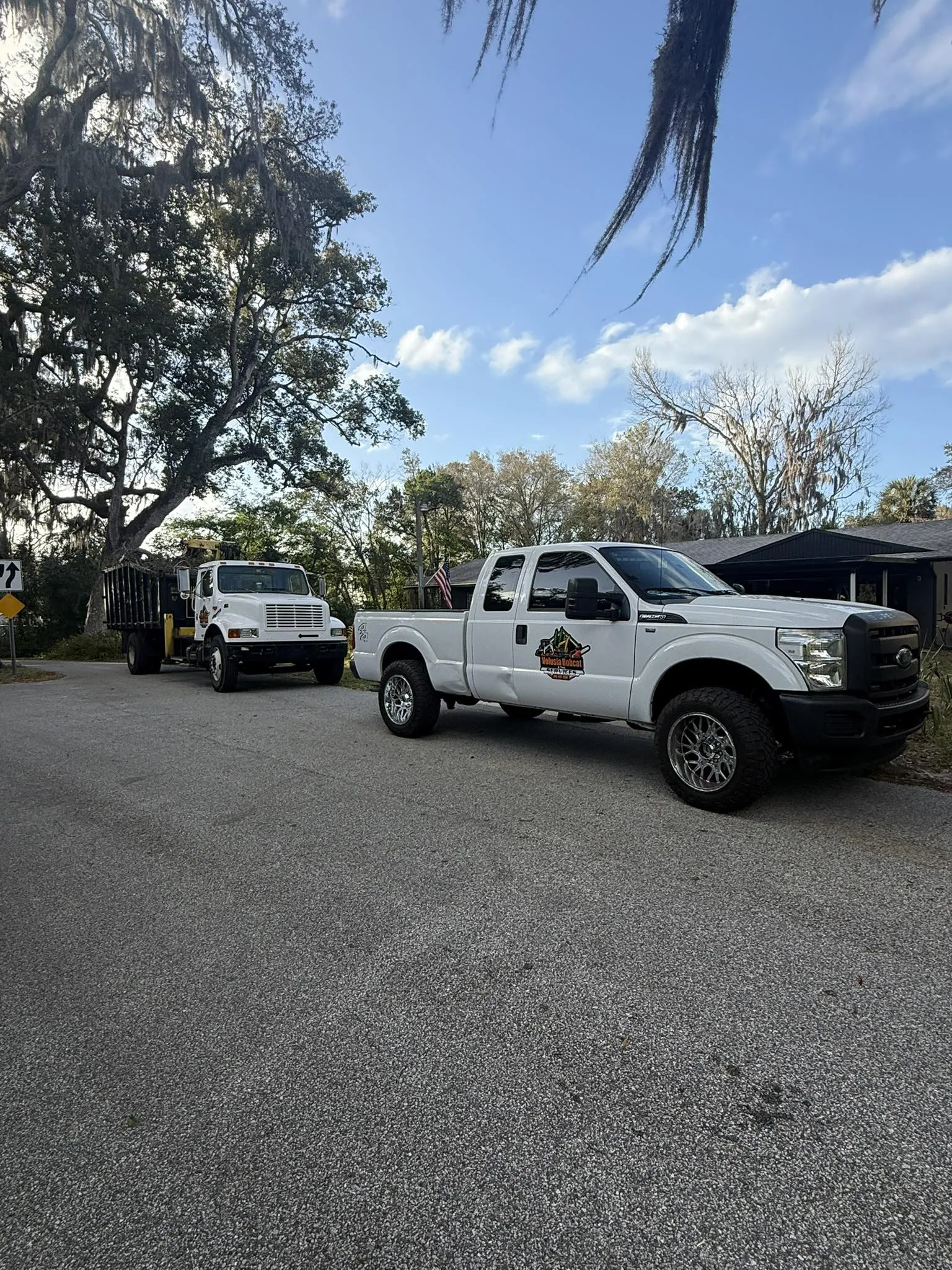 Expert Hazardous and Dead Tree Management