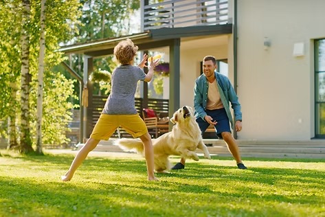Expert Lawn Care Services in Calgary You Can Trust