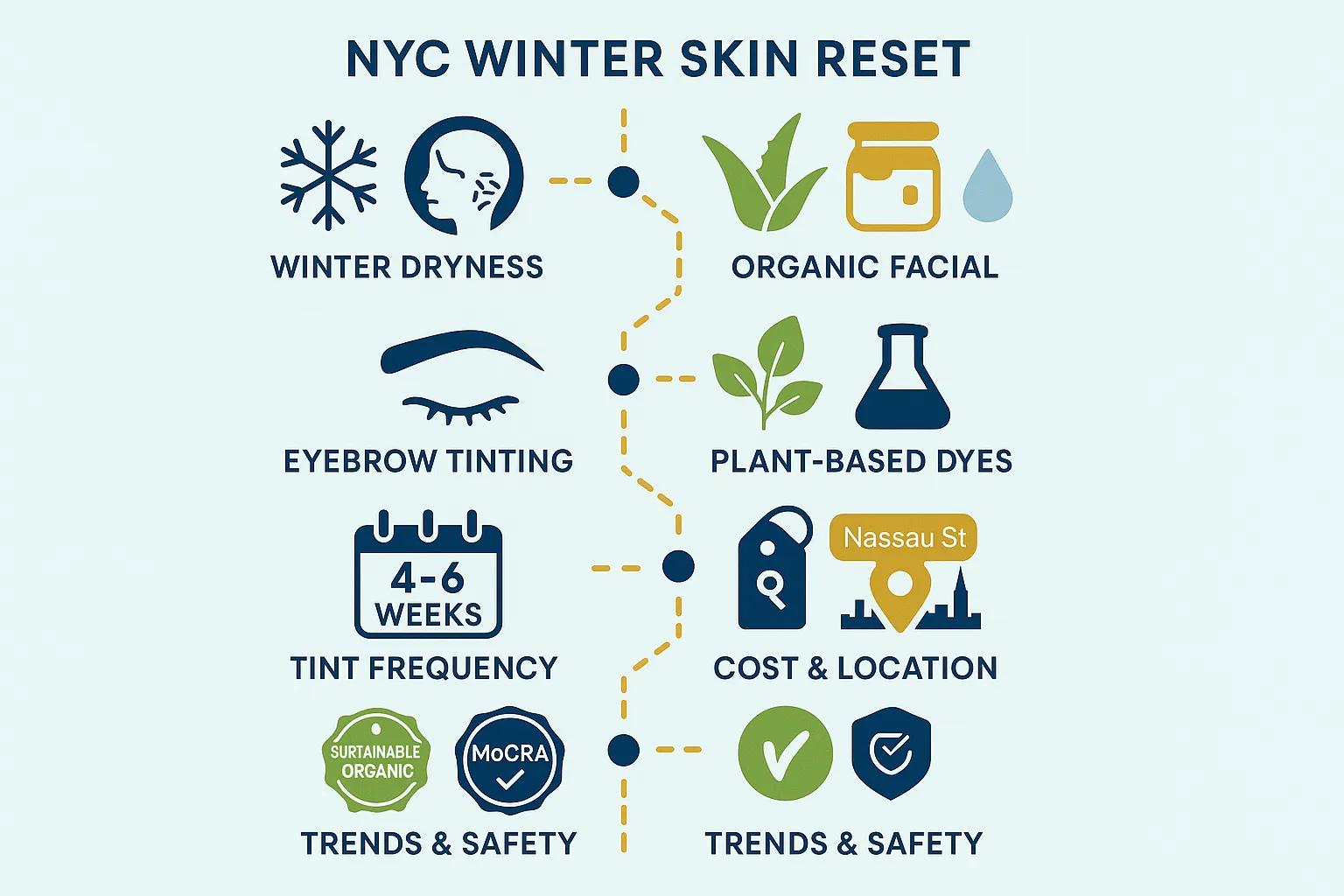 Professional eyebrow tinting result