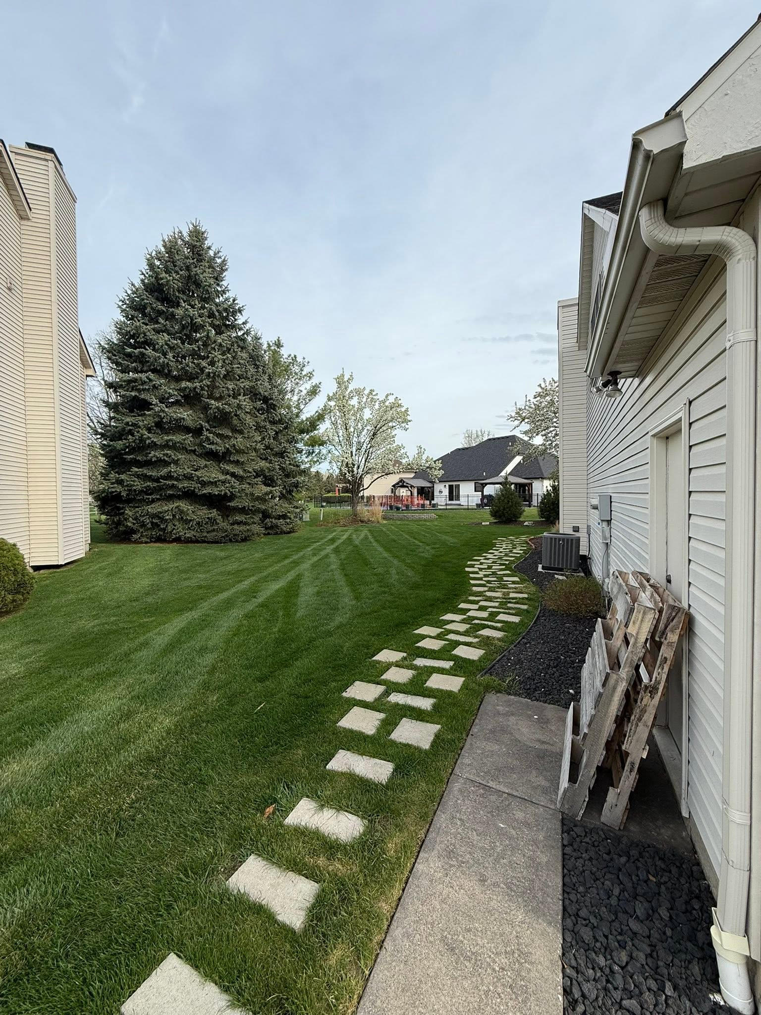 Cost-Effective Hydroseeding for Uniform and Rapid Turf Growth