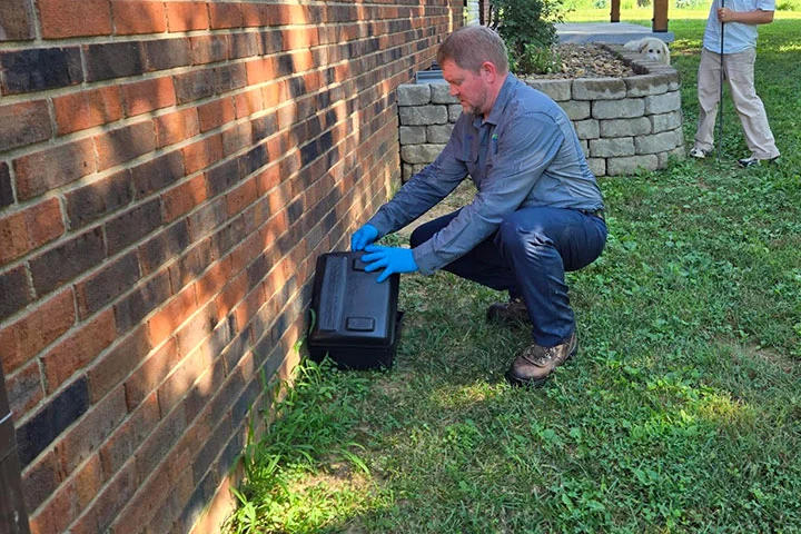 All-Encompassing Outdoor Pest Control Solutions