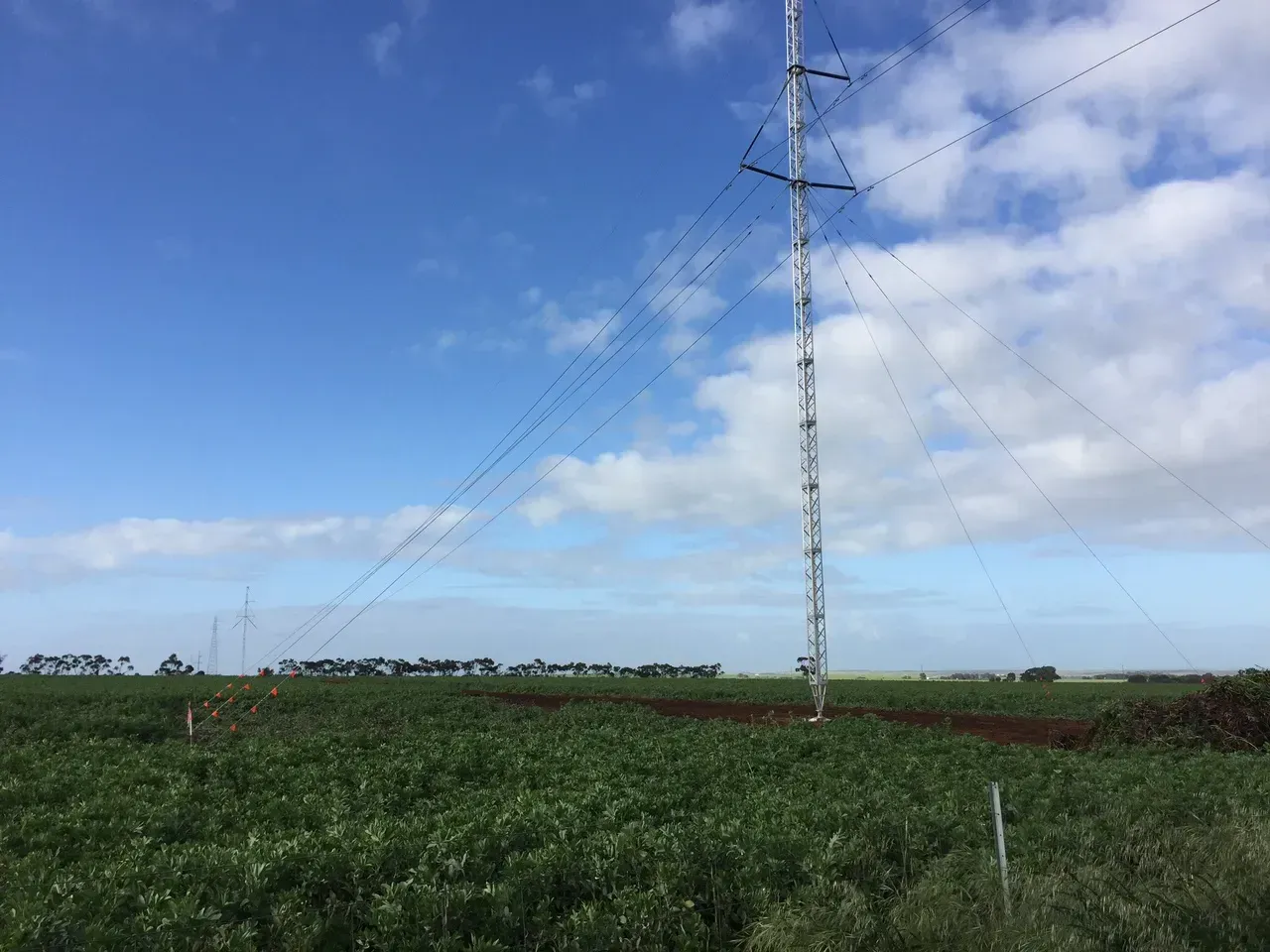 Structural Anchoring for Crop Protection, Erosion Control and Windbreaks