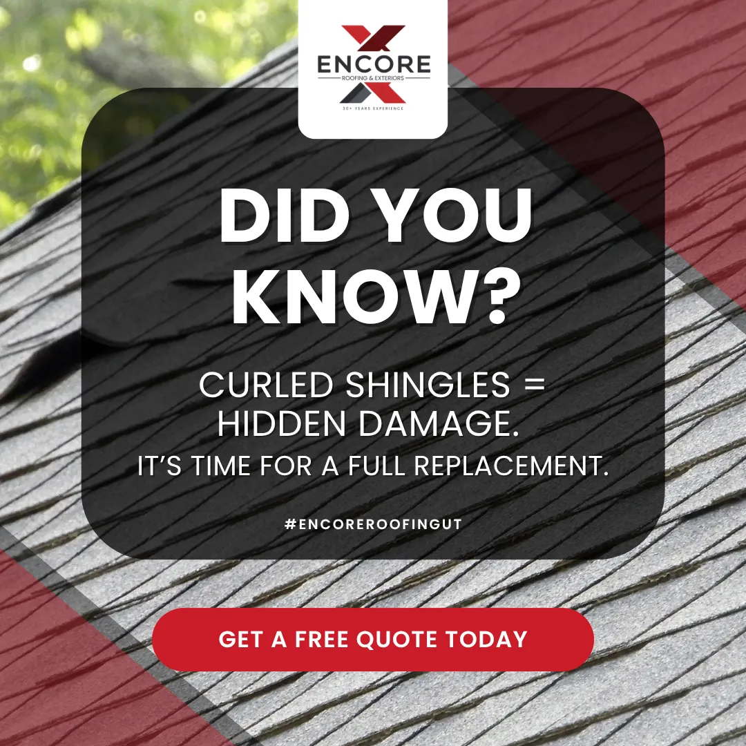 Close-up of damaged roof shingles showing curling, granule loss, and wear, indicating the need for replacement