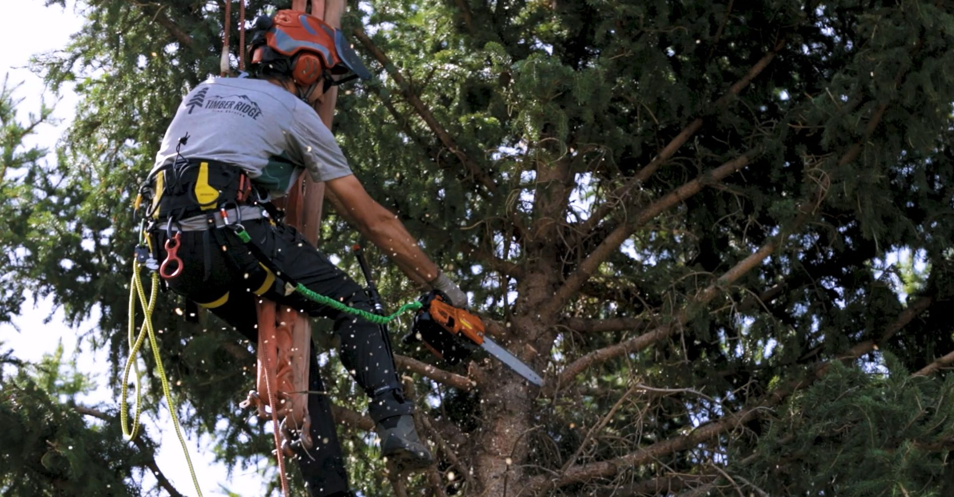 Local Knowledge and Commitment to Safety
