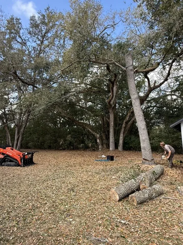24/7 Emergency Tree Removal