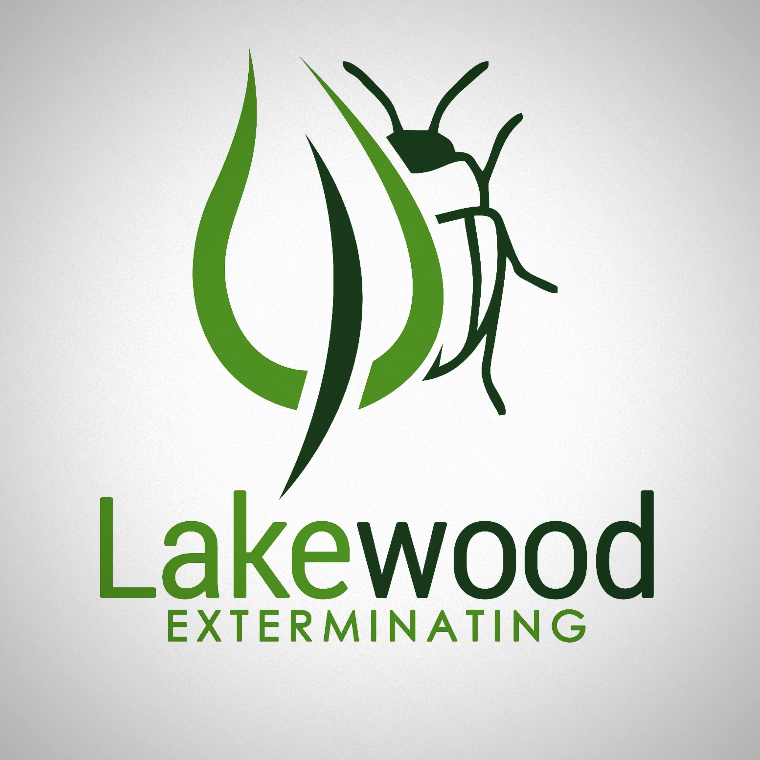 Personalized Flies Management Solutions
