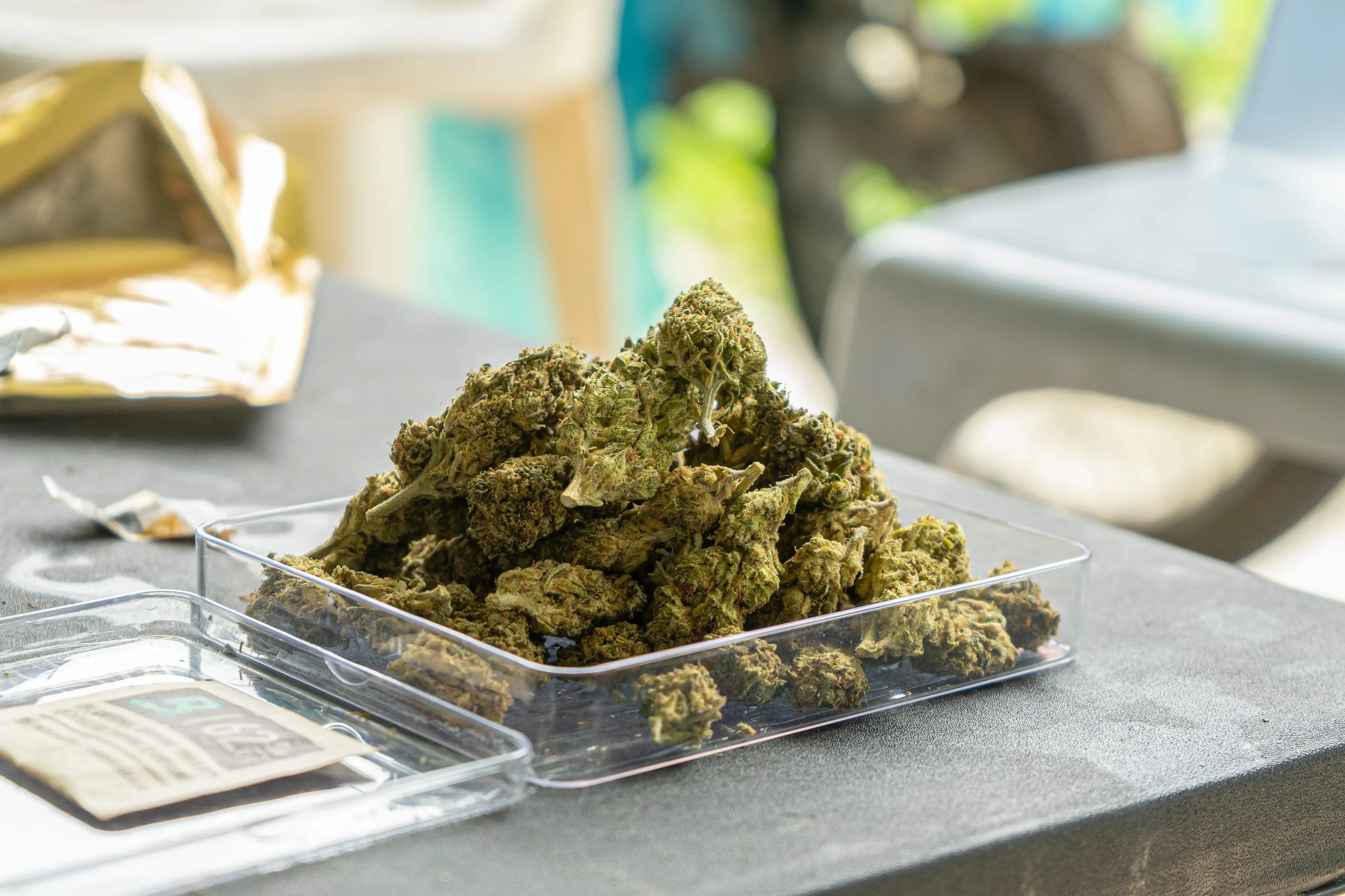 Professional Support: Helping You Navigate Cannabis Choices