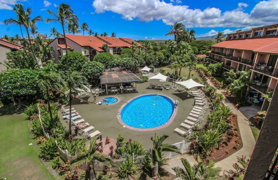 The Advantages of Booking Through Tropical Travel Adventures