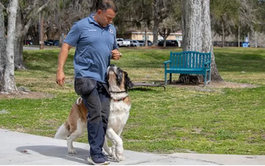Why Choose Our Dog Behavior Training?