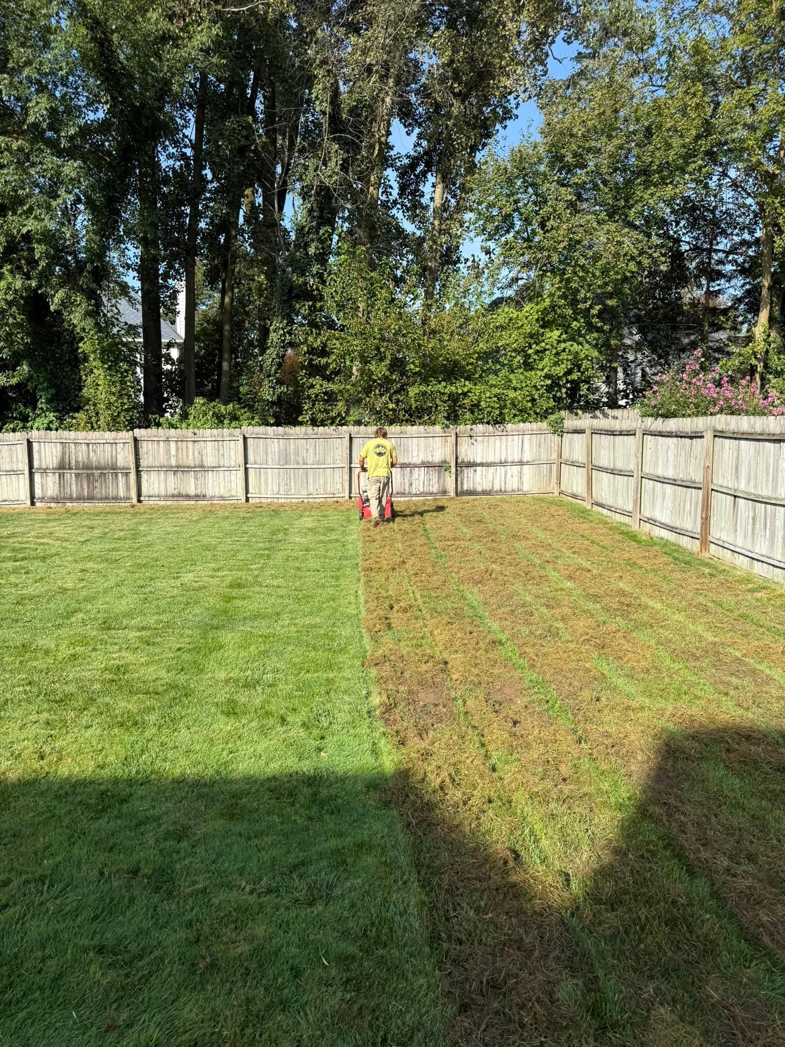 Site Preparation and Erosion Management for Long-Term Lawn Health