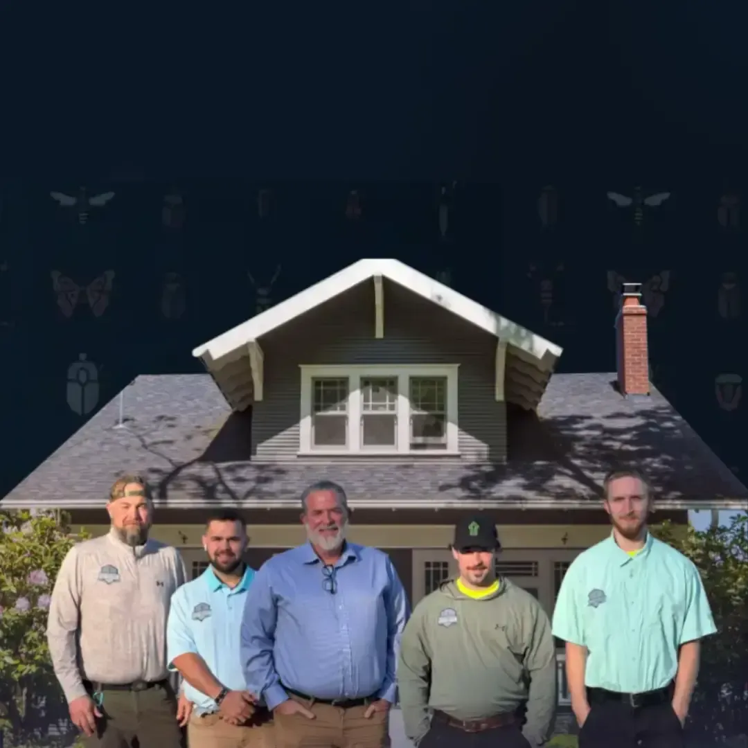 Pest control team applying treatment in a residential setting