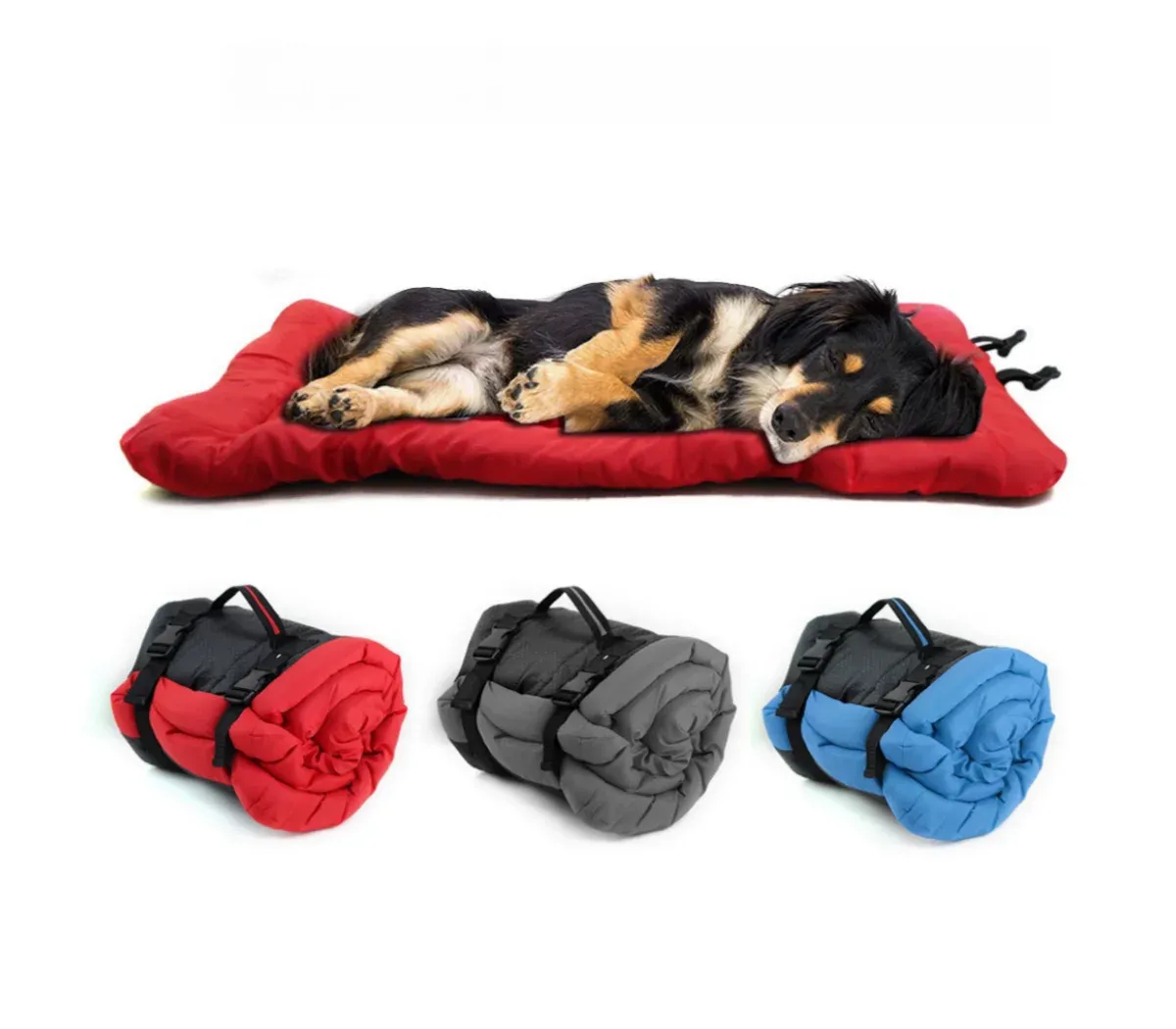 Dog in Thunder Shirt resting peacefully in a calming environment, showcasing effective anxiety relief techniques