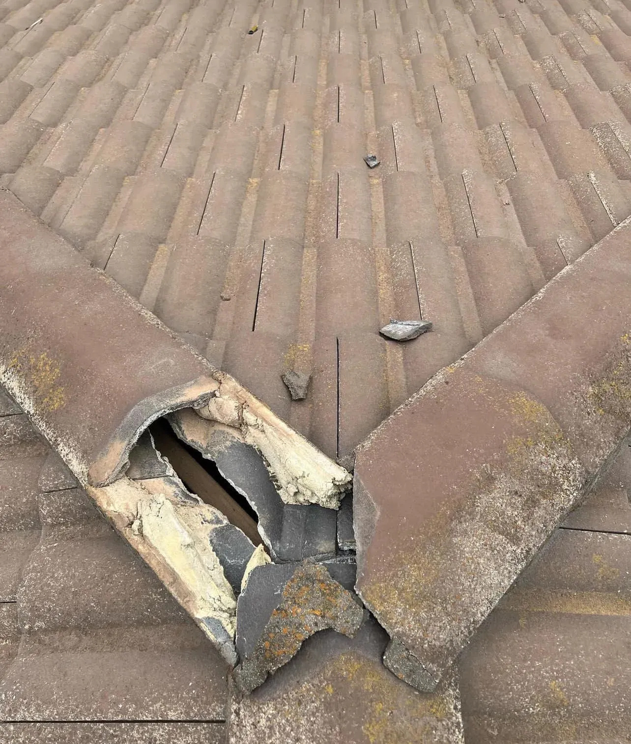 Choosing the Right Time to Engage a Building Expert