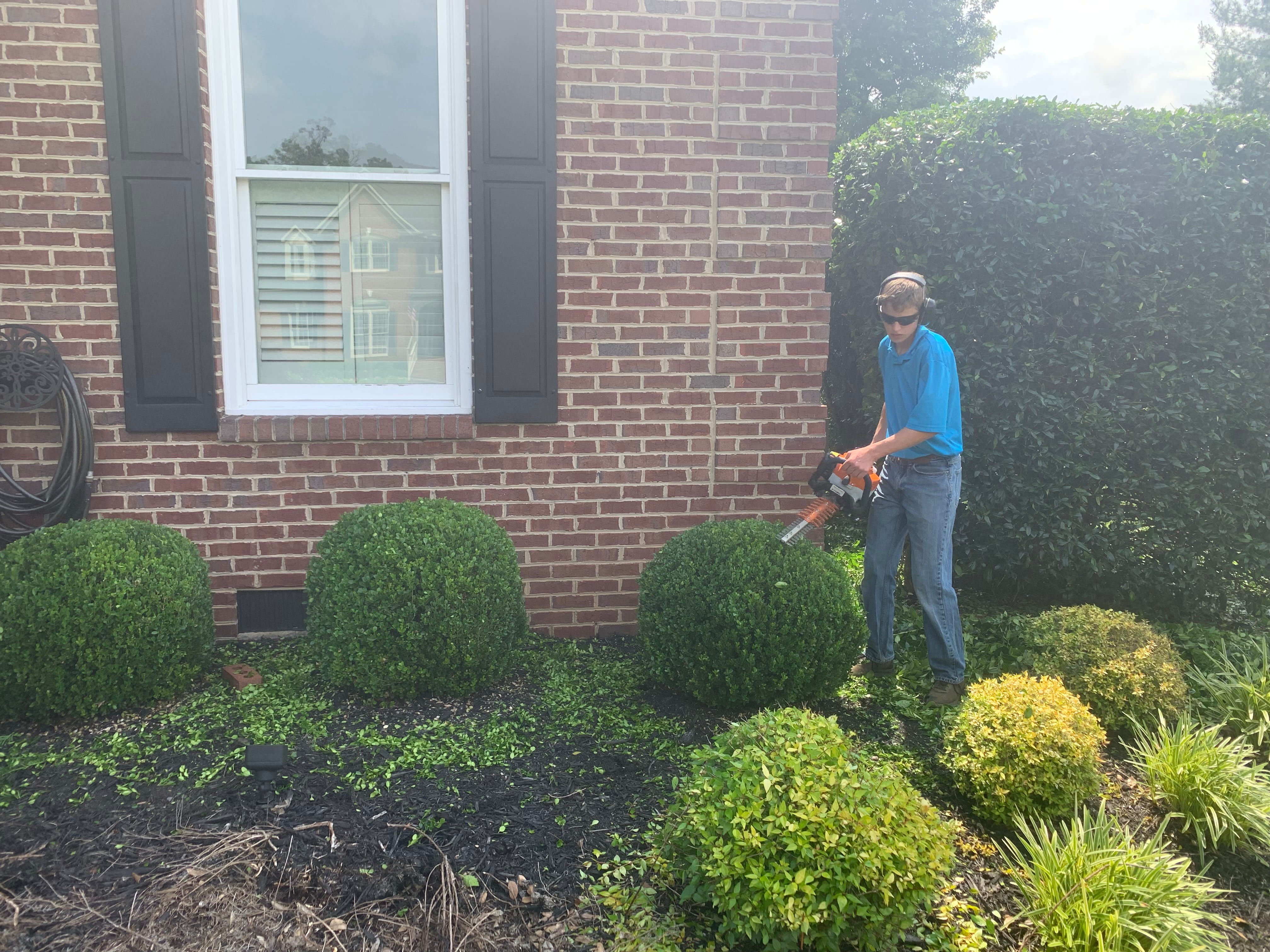 The Strategic Benefits of Routine Shrub Maintenance