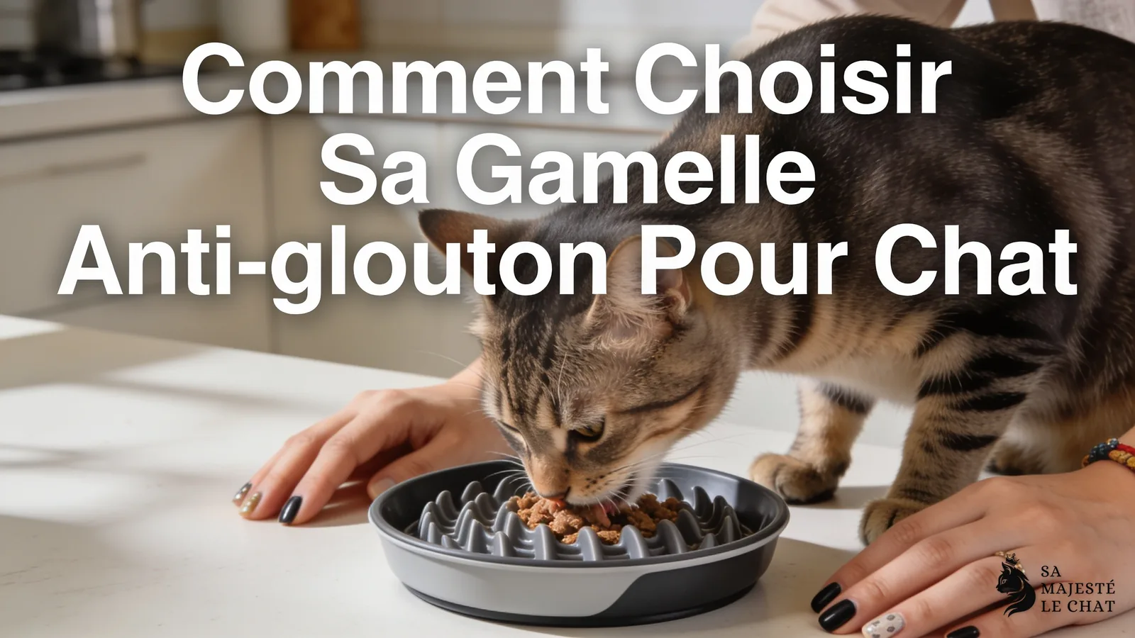 Un chat peut manger trop vite lorsqu'il a ressenti une forme de concurrence alimentaire avec