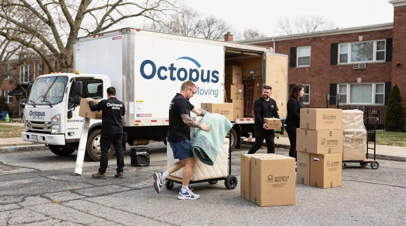 Providence movers commonly offer add-on services such as packing, unpacking, and furniture assembly alongside